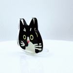 Custom Thick Acrylic Fridge Magnet