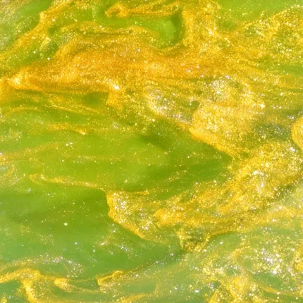 yellow+green